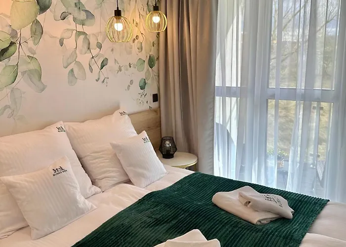 Blisko Gor Szyndzielnia * 别尔斯克-比亚拉