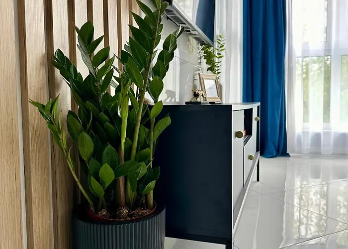 Blisko Gor Szyndzielnia