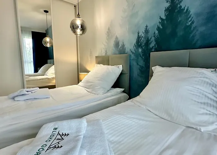 Blisko Gor Szyndzielnia 公寓 别尔斯克-比亚拉